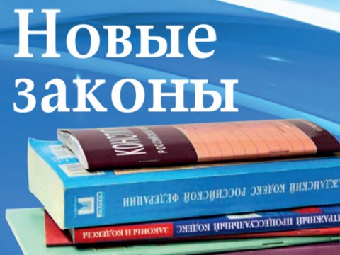 Лицензия по БДД