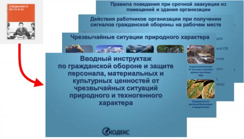 Гражданская оборона в организации
